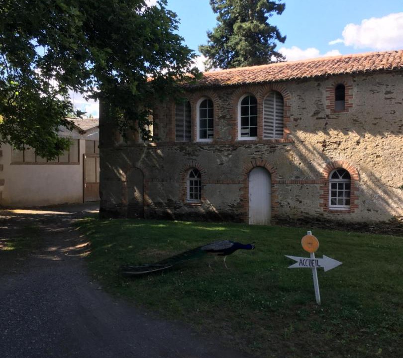 Photo of Others in Saint-Macaire-en-Mauges