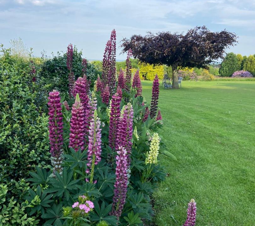 Photo of Outdoor in Pickering