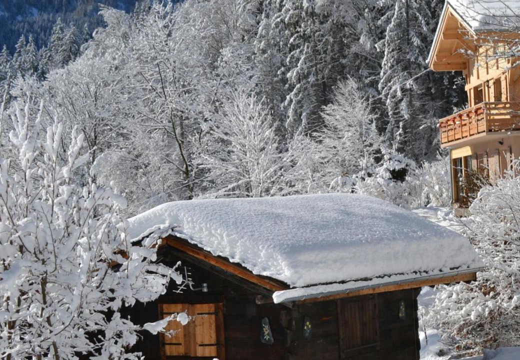 Photo of Buildings in Les Houches