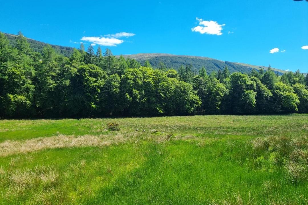 Photo of Others in South Laggan