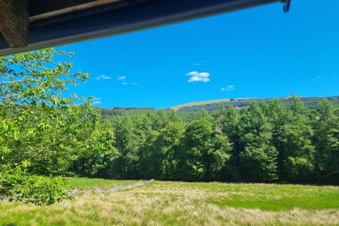 Photo of Others in South Laggan