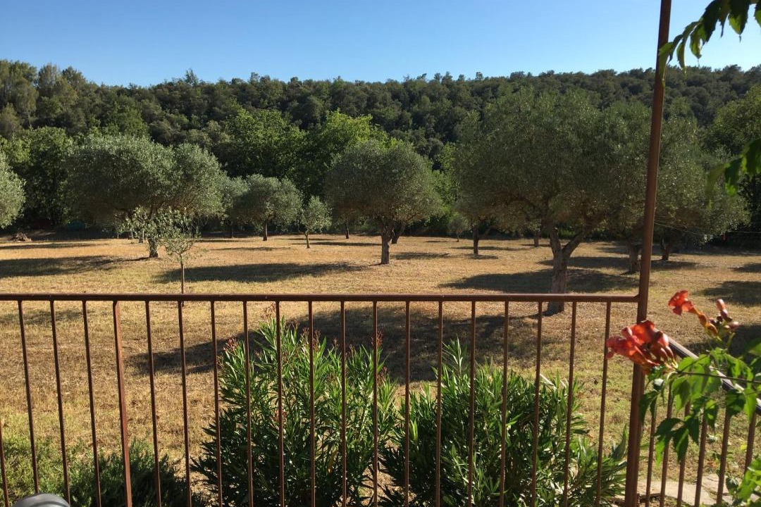 Photo of Others in Entrecasteaux