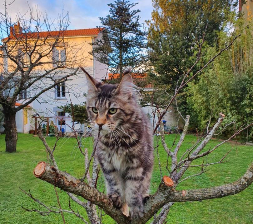 Photo of Others in Trentemoult