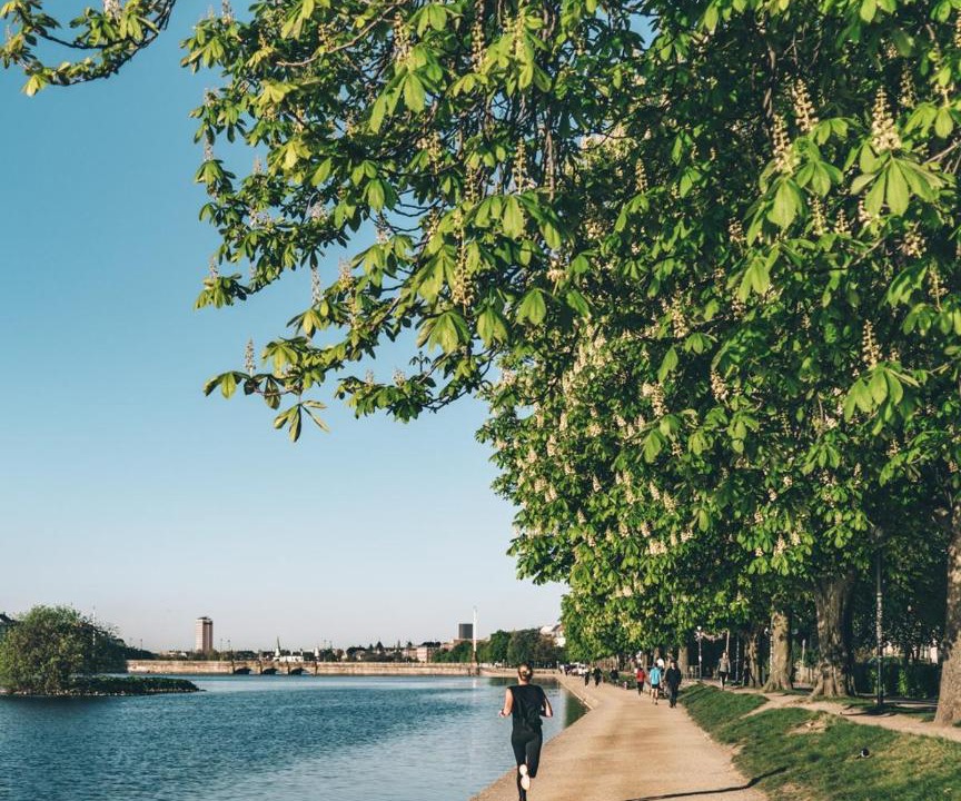 Photo of Others in Osterbro