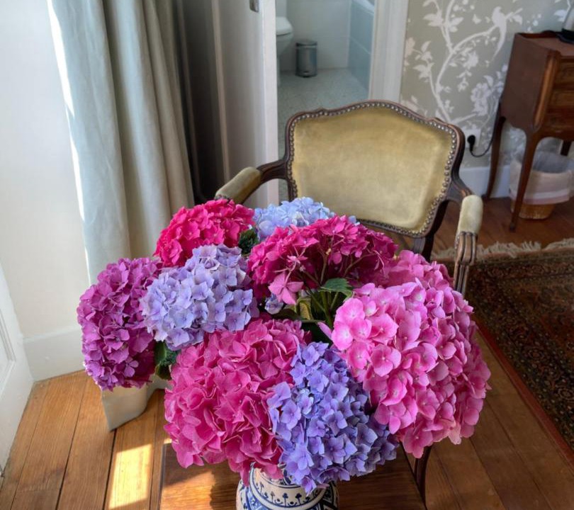 Photo of Others in Saint-Sever-de-Rustan