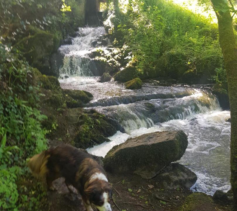 Photo of Others in Prat