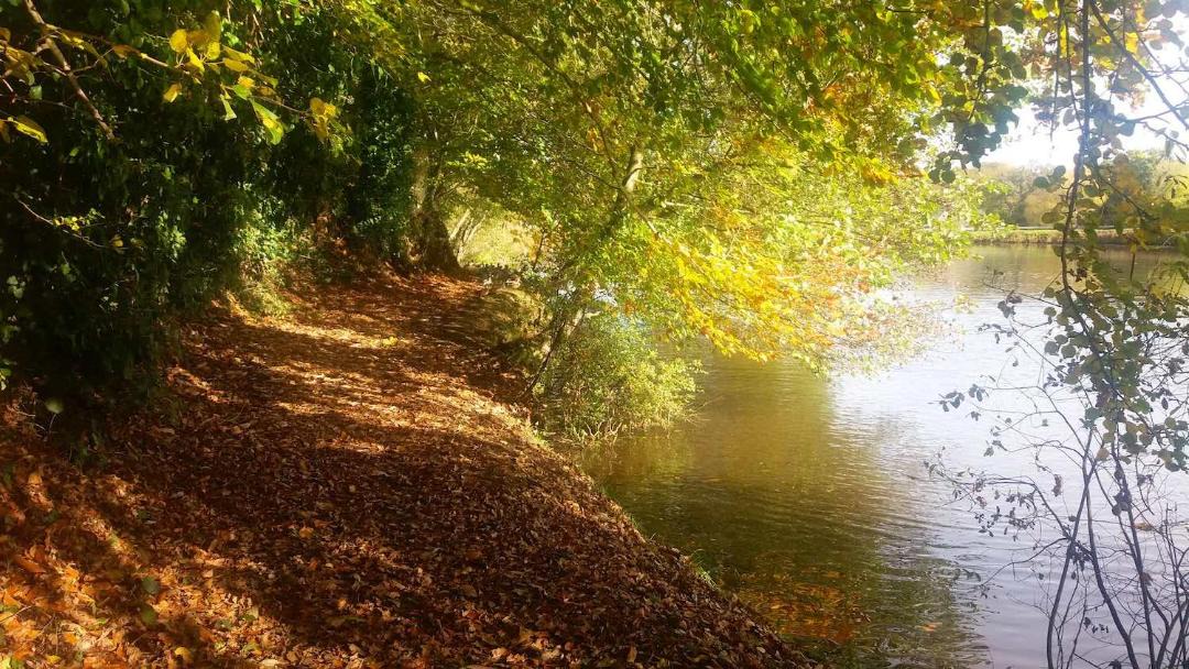 Photo of Others in Prat