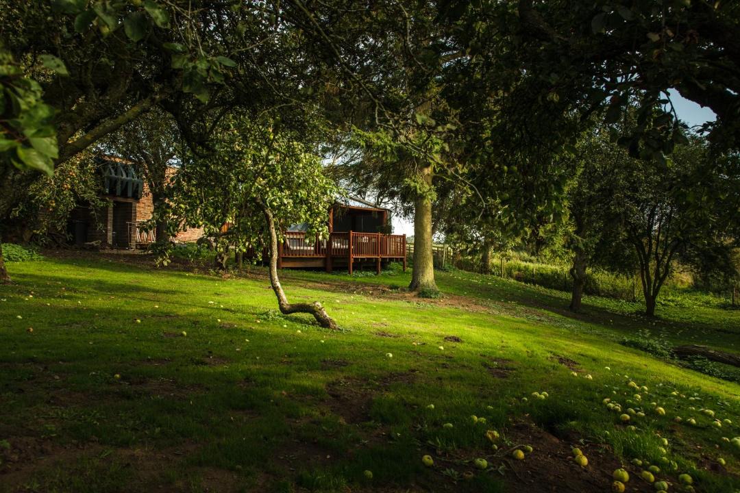 Photo of Others in Thirsk