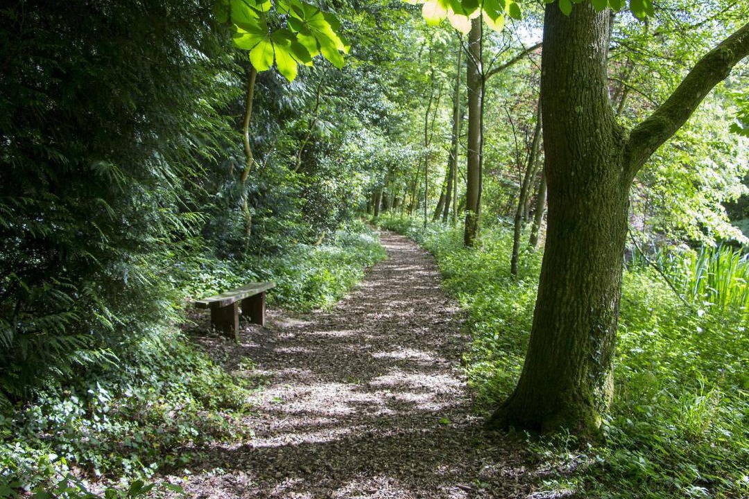 Photo of Others in Shipton under Wychwood