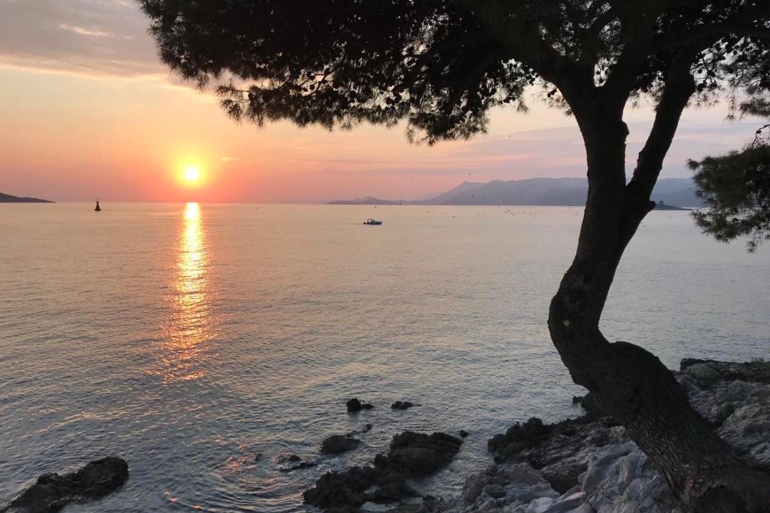 Photo of Others in Cavtat Old Town