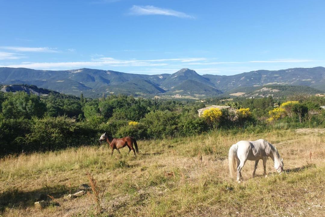 Photo of Outdoor in Rosans