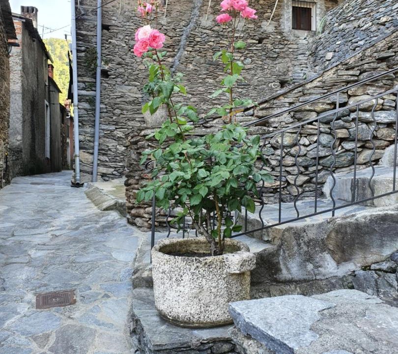 Photo of Others in Casamozza