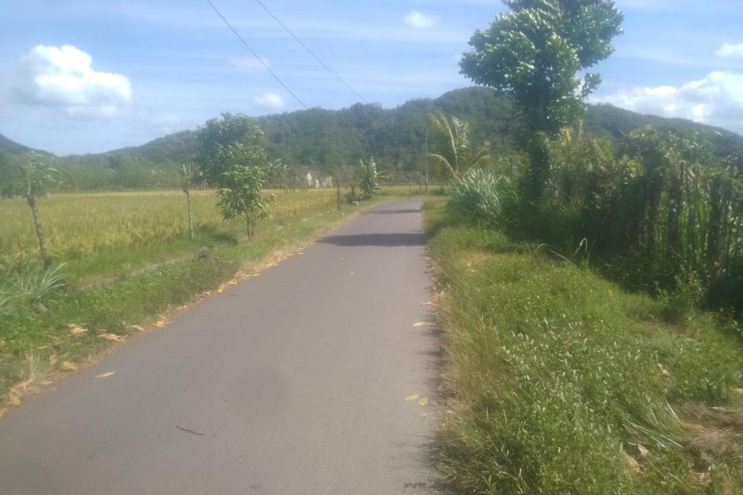 Photo of Others in Gerung