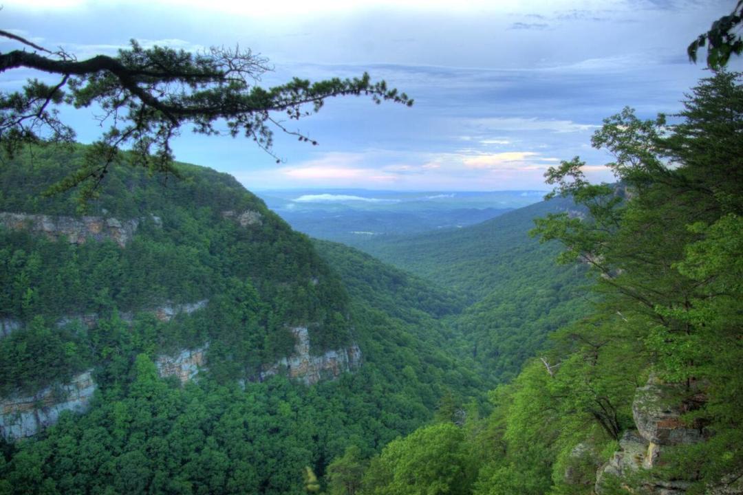 Photo of Others in Trenton