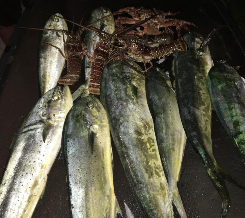 Photo of Others in Key Colony Beach