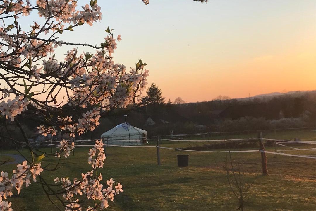 Photo of Others in Saint-Leger-sur-Dheune