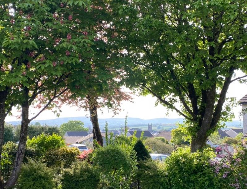 Photo of Outdoor in Callington