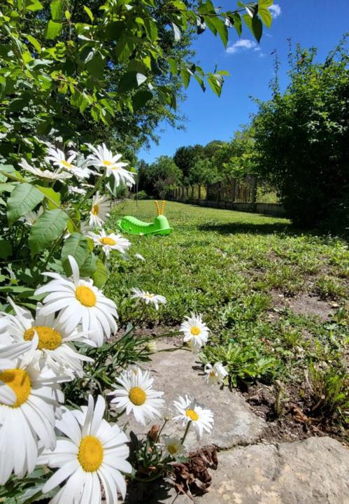 Photo of Others in Entrains-sur-Nohain