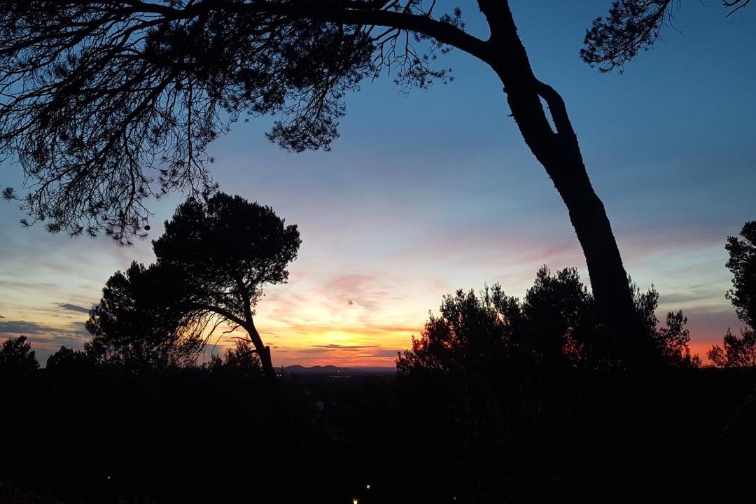 Photo of Others in Saint-Etienne-du-Gres