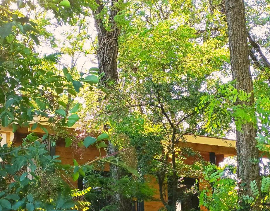 Photo of Others in Chateauneuf-sur-Isere