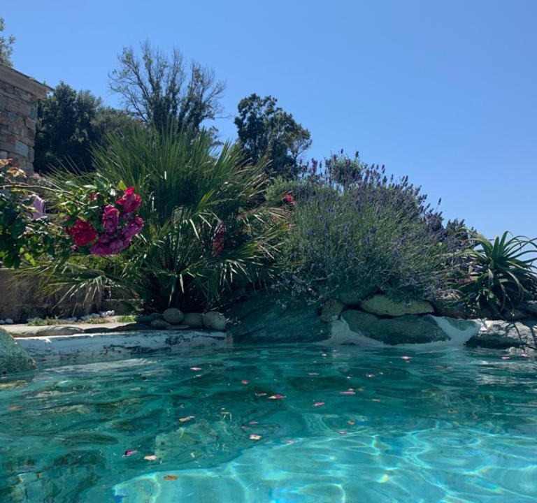 Photo of Outdoor in Pino