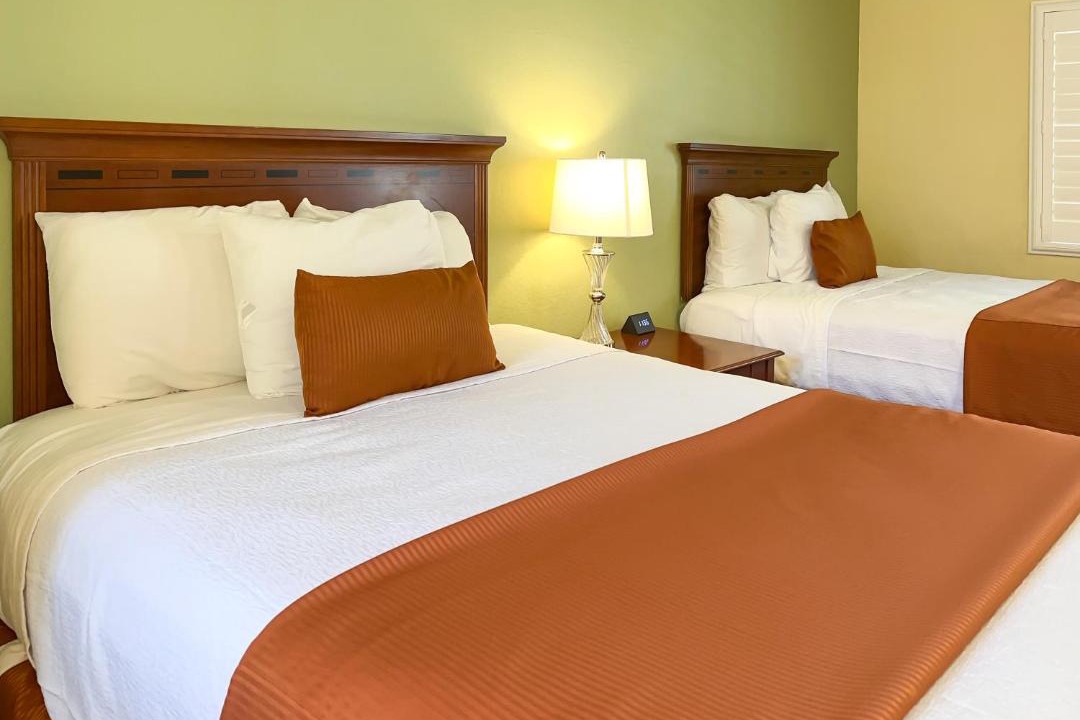 Photo of Others in Willits