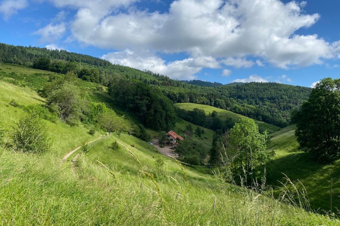 Photo of Others in Sainte-Marie-aux-Mines