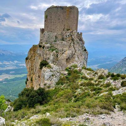 Photo of Others in Duilhac-sous-Peyrepertuse