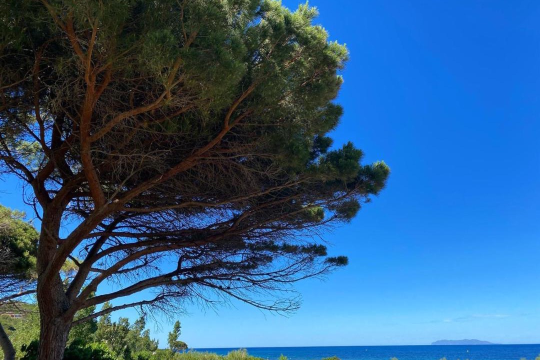 Photo of Outdoor in Sisco