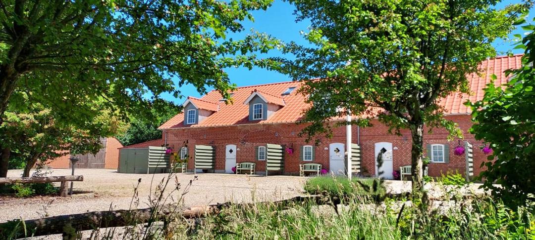Photo of Others in Ribe