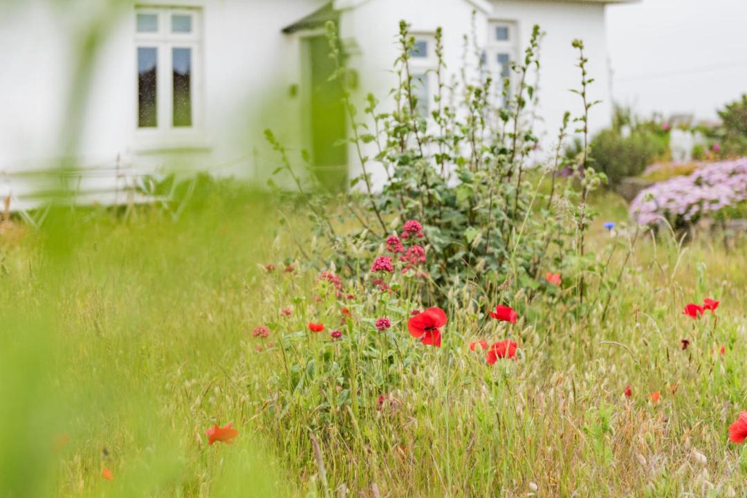Photo of Others in Dungeness
