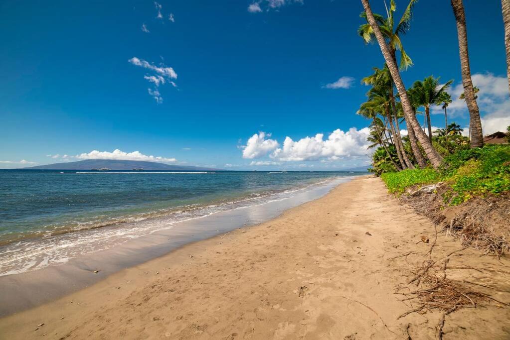 Photo of Others in Historic Lahaina Front Street