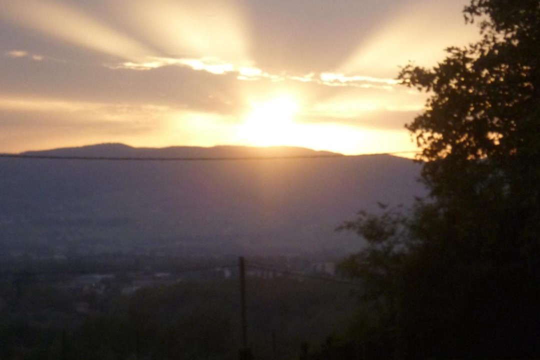 Photo of Others in Guereins