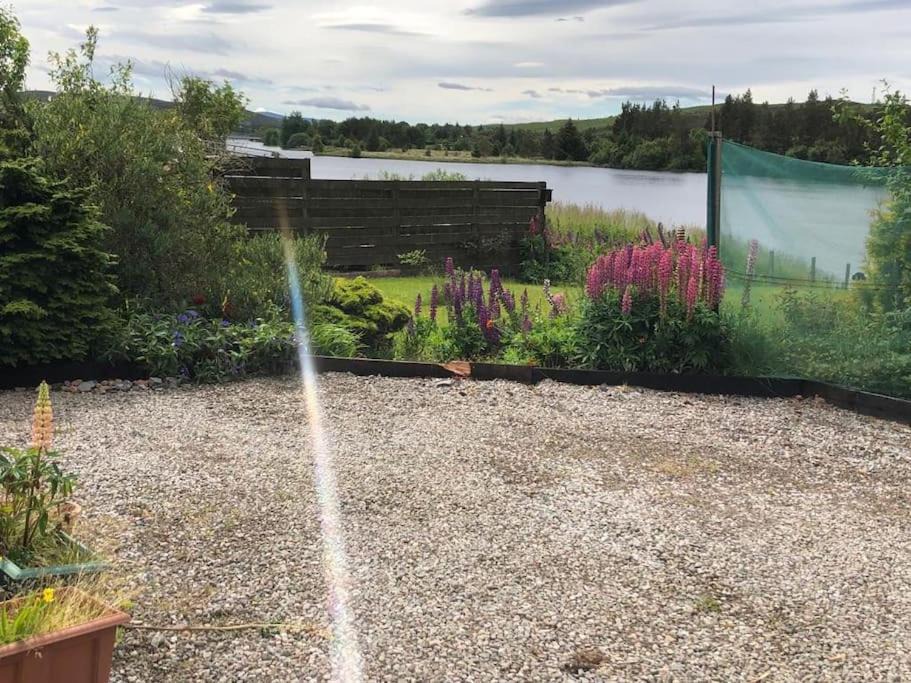 Photo of Others in Lairg