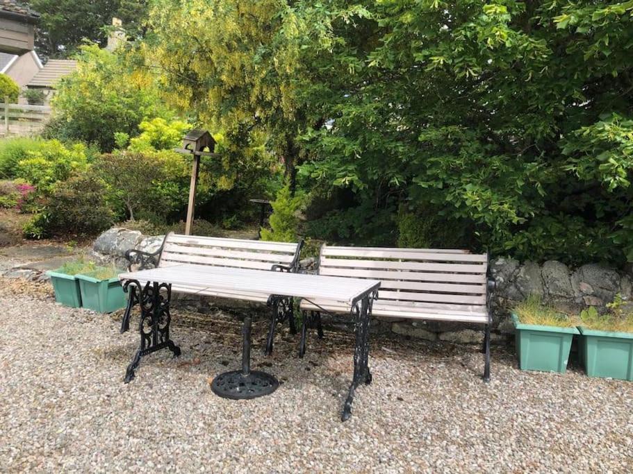 Photo of Others in Lairg