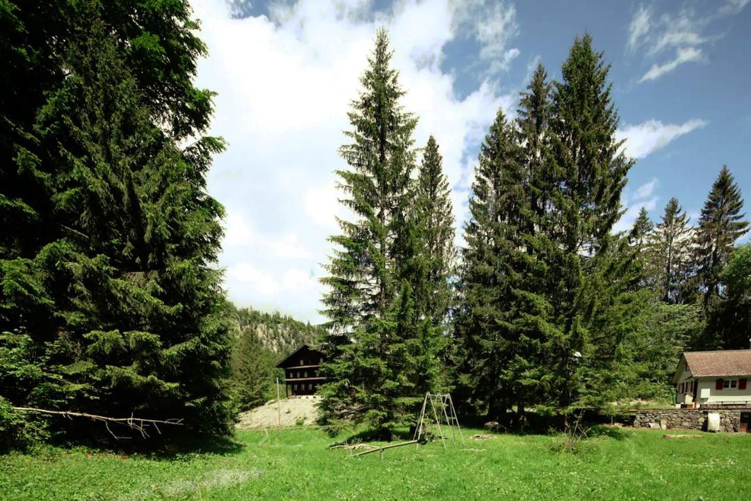 Photo of Others in Lungern