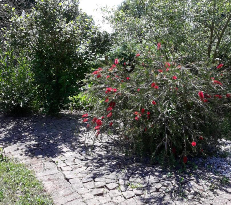 Photo of Outdoor in La Suze-sur-Sarthe