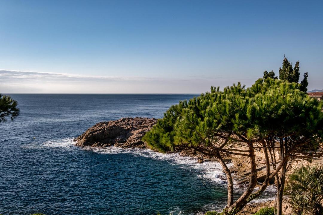 Photo of Others in Sant Feliu de Guixols