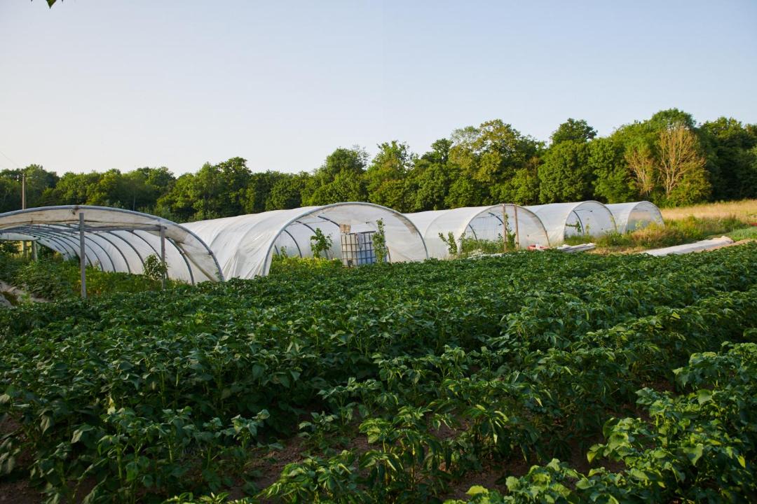 Photo of Others in Troussures