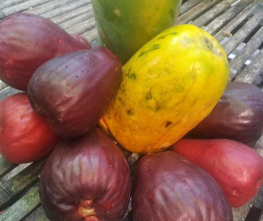 Photo of Others in Gerung