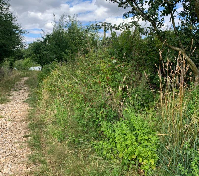 Photo of Outdoor in Troussures