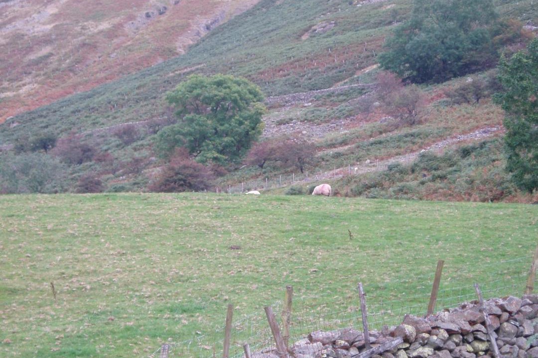 Photo of Others in Thirlmere