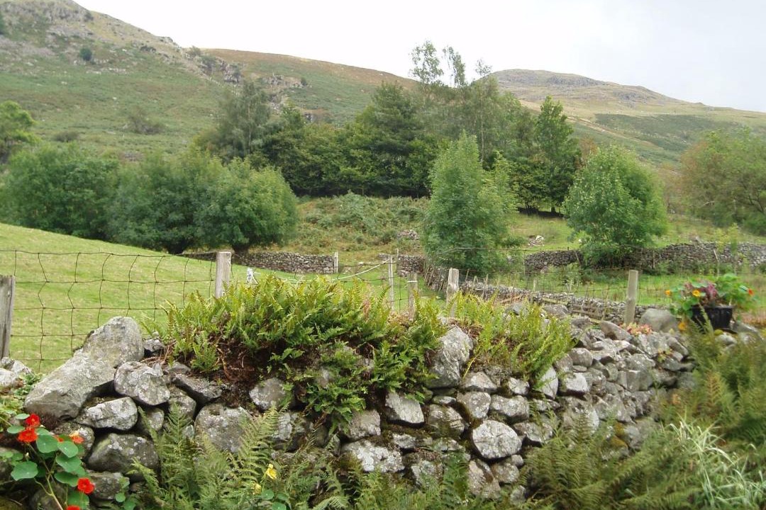 Photo of Others in Thirlmere