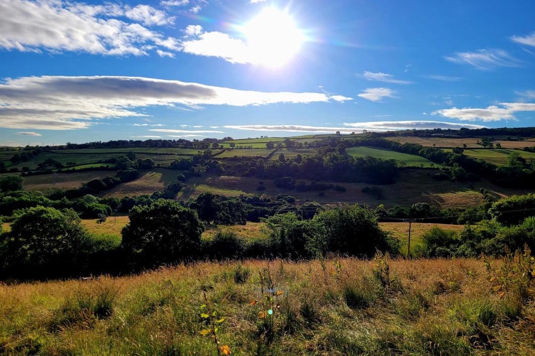 Photo of Others in Aislaby