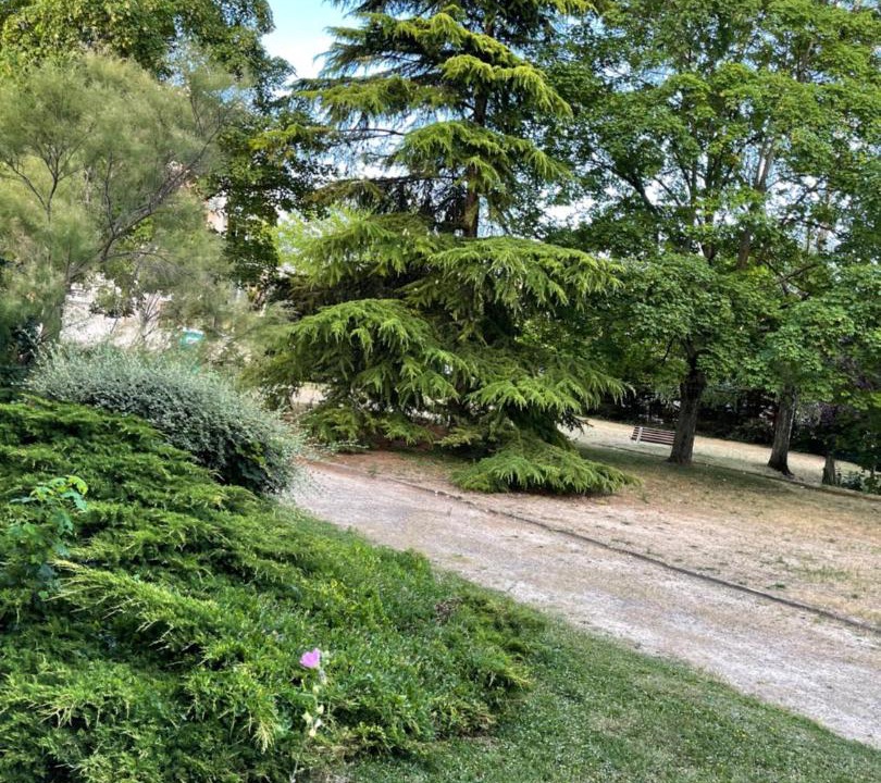 Photo of Others in Chatou