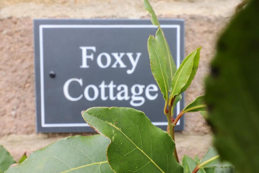 Photo of Others in Ripley