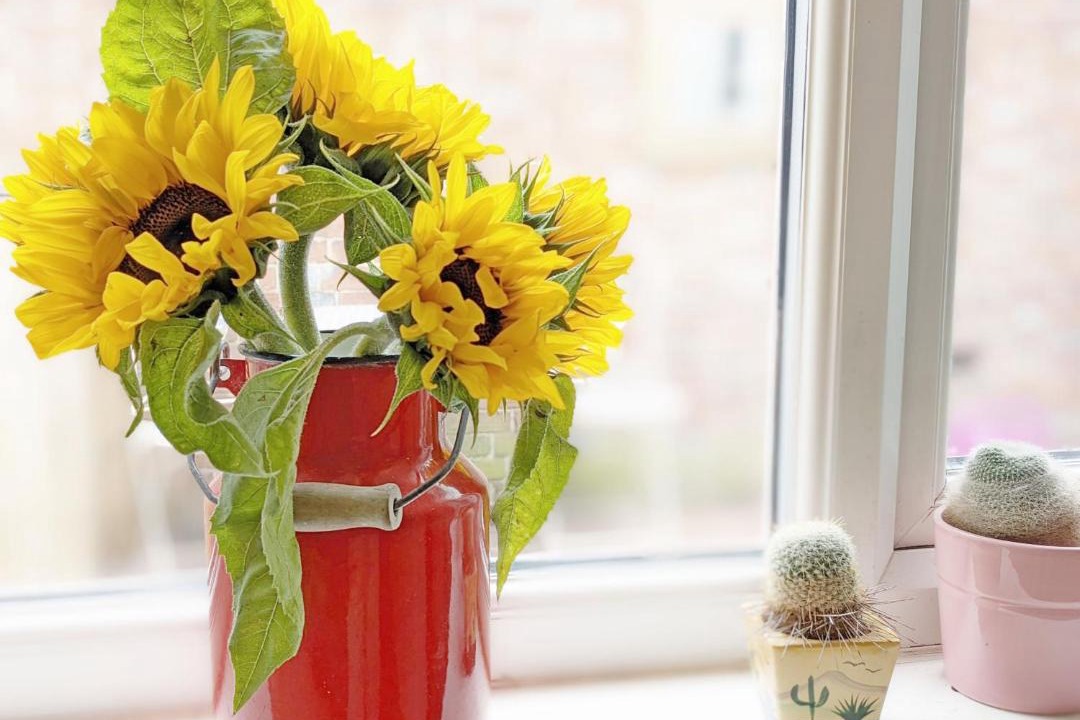 Photo of Others in Billingshurst