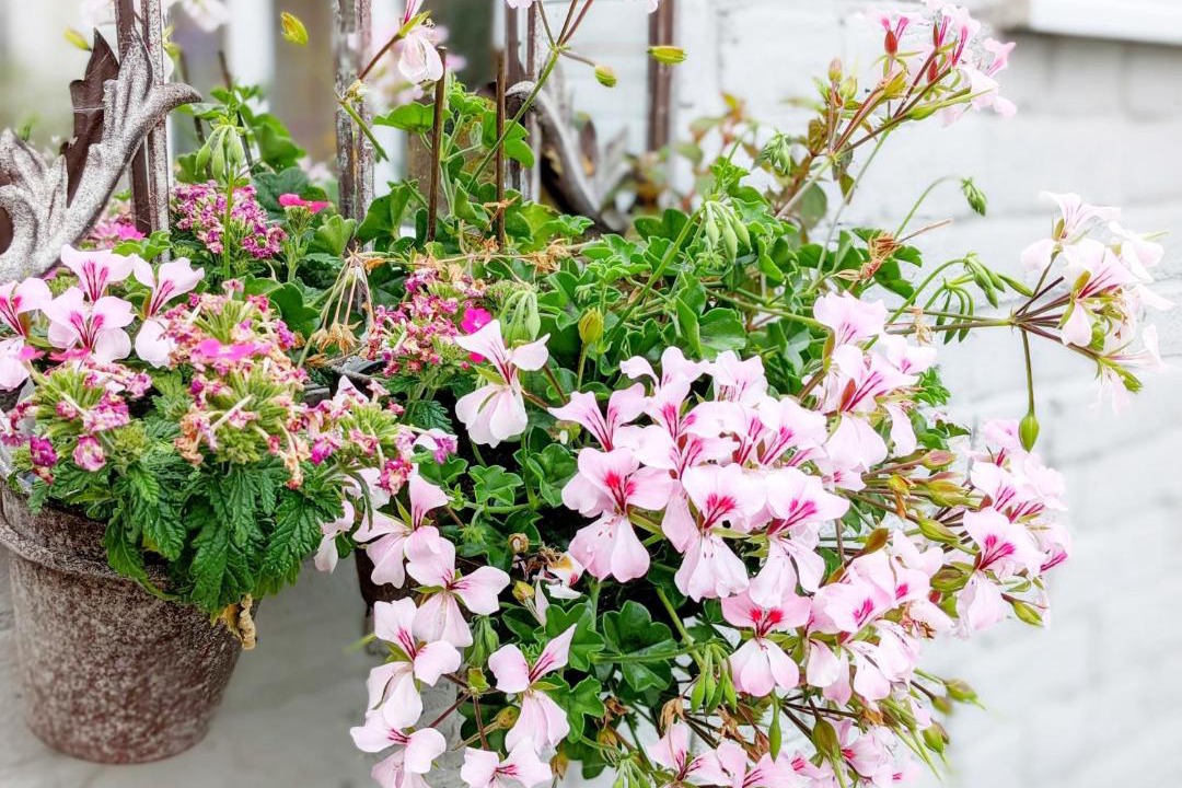 Photo of Others in Billingshurst