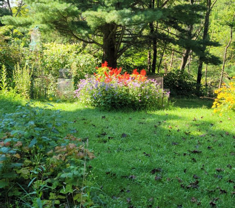 Photo of Outdoor in Kerhonkson