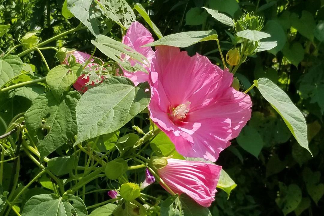 Photo of Others in Kerhonkson